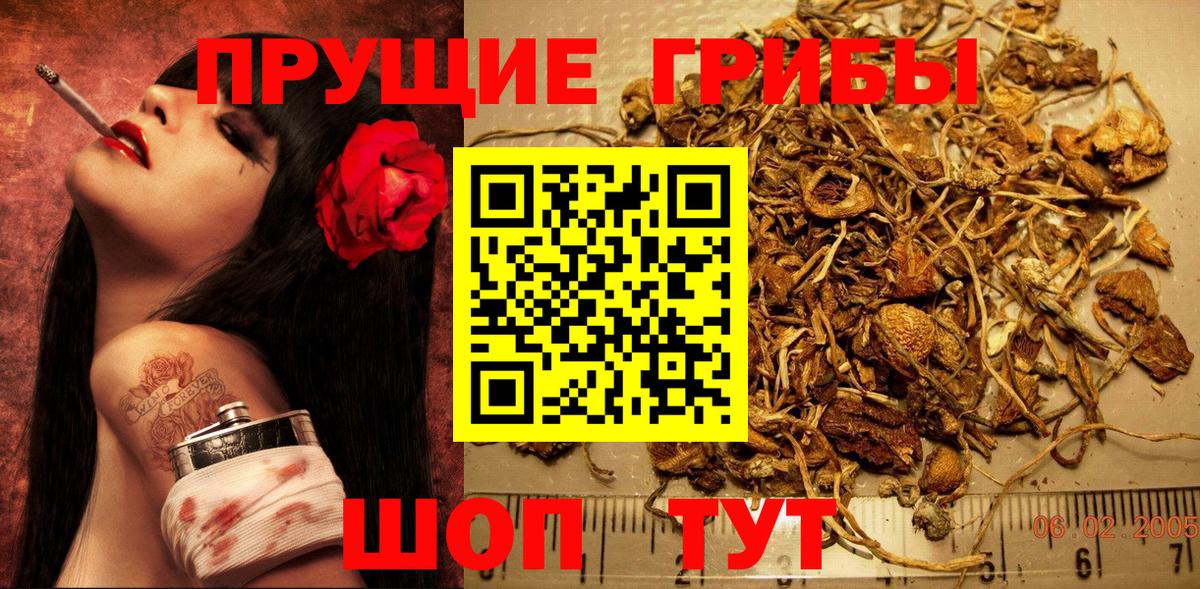 Галлюциногенные грибы Magic Shrooms Большой Камень
